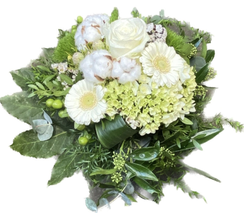 Blumen Nicolaye - Alpaka