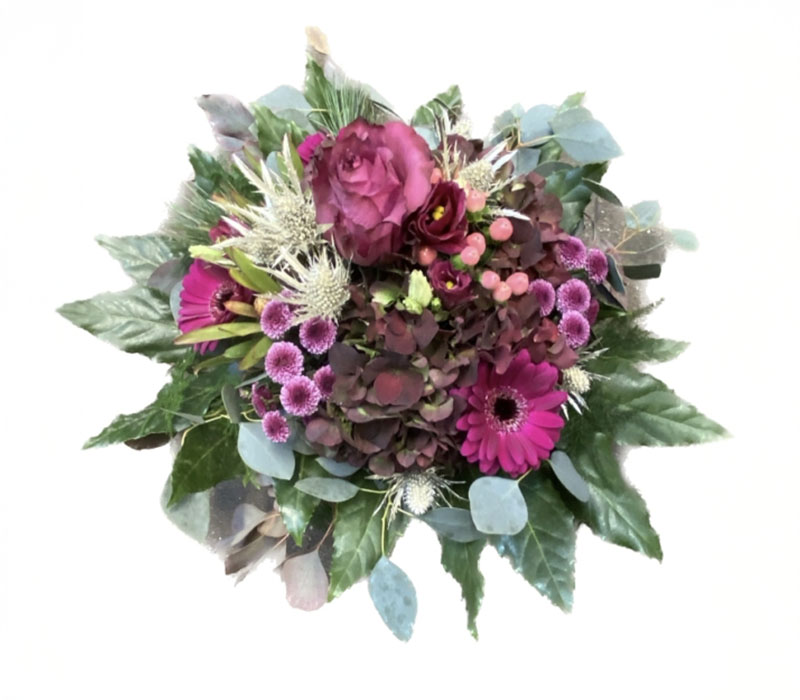 Blumen Nicolaye - Candy Yeti