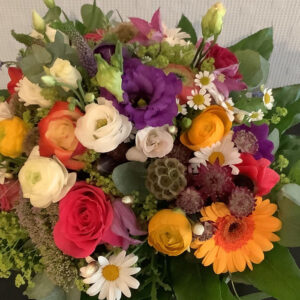 Blumen Nicolaye - Colorful