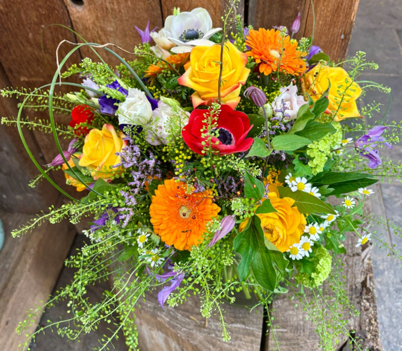 Blumen Nicolaye - Crazy