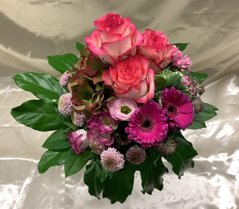 Blumen Nicolaye - Pinkasso