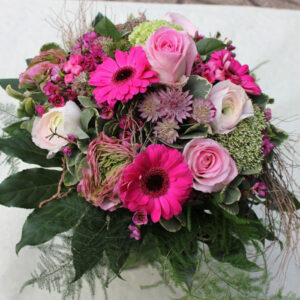 Blumen Nicolaye - Pinky