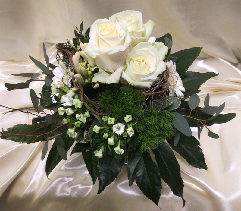 Blumen Nicolaye - Virginia